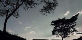 Transiciones