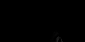 Los silencios del silencio