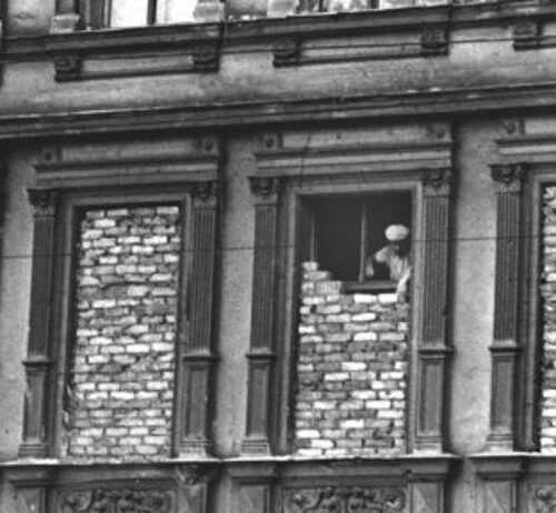 Tapiando ventanas (1993)