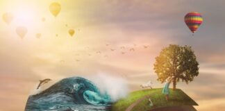 Capturando recuerdos