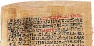 Historias de la creación literaria