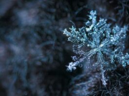 Poema invernal