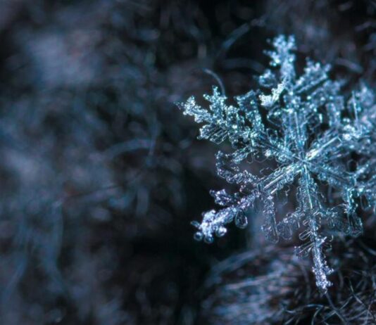 Poema invernal