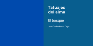 El bosque