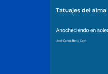 Anocheciendo en soledad