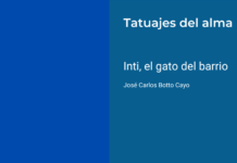 Inti, el gato del barrio