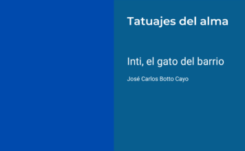 Inti, el gato del barrio