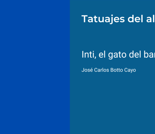 Inti, el gato del barrio