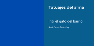 Inti, el gato del barrio