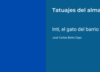 Inti, el gato del barrio