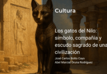 Los gatos del Nilo: símbolo, compañía y escudo sagrado de una civilización