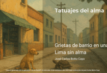 Grietas de barrio en una Lima sin alma