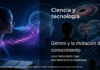 Gemini y la mutación del conocimiento